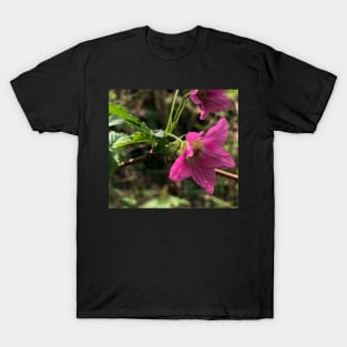 The Splendor of Pink Budding Forest Magnificence T-Shirt